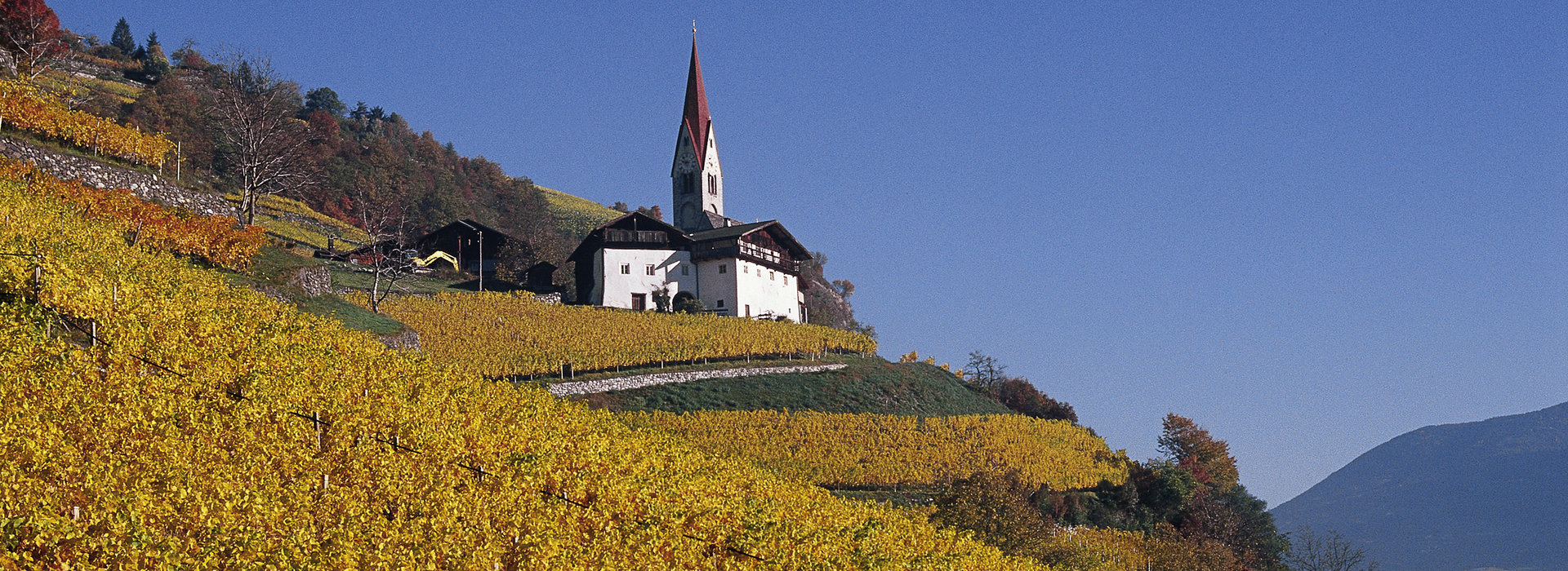 Fotowettbewerb: Heimat im Fokus