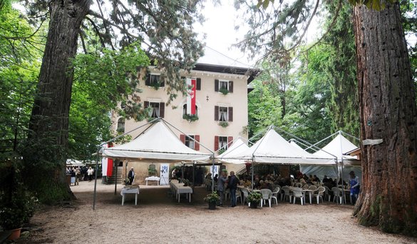 © 2025 Heimatpflegeverband Südtirol