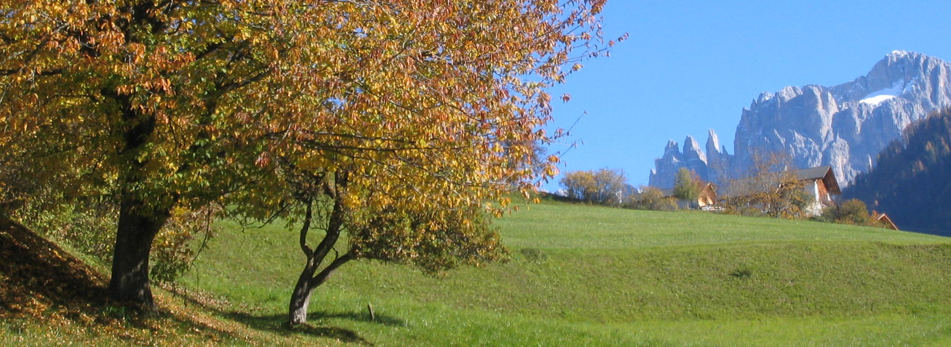 Heimatpflegeverband Südtirol