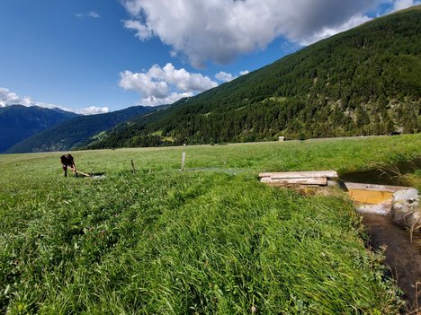 © 2025 Heimatpflegeverband Südtirol