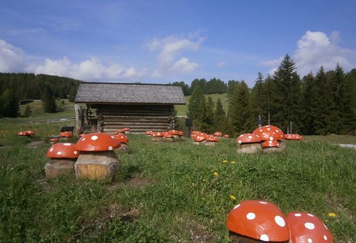 © 2025 Heimatpflegeverband Südtirol