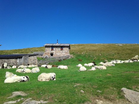 © 2024 Heimatpflegeverband Südtirol