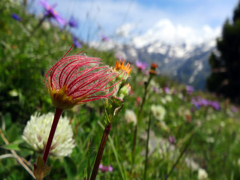 © 2025 Heimatpflegeverband Südtirol