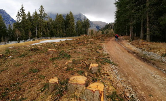 © 2025 Heimatpflegeverband Südtirol