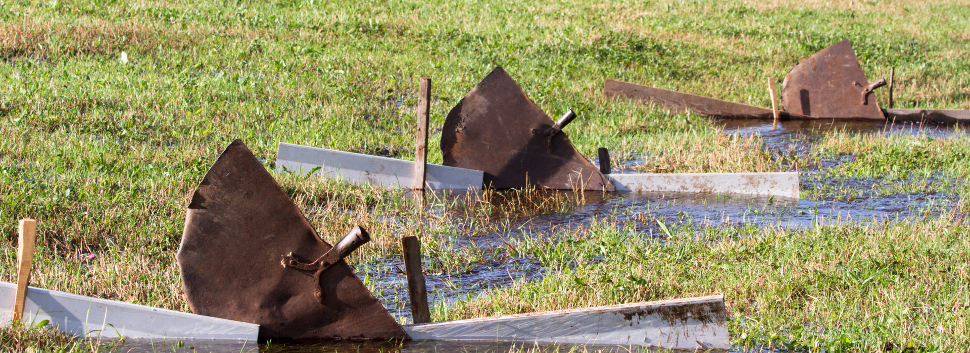 Immaterielles Kulturerbe