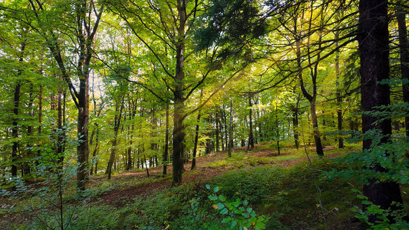 © 2025 Heimatpflegeverband Südtirol